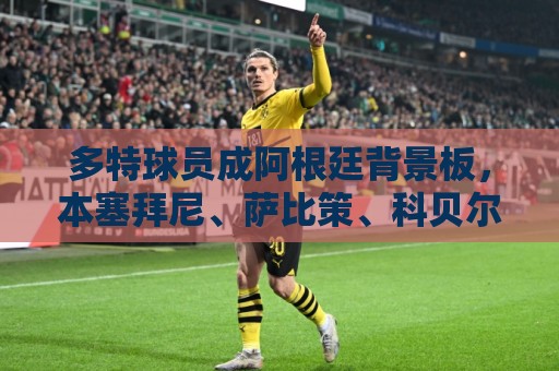多特球员成阿根廷背景板,本塞拜尼、萨比策、科贝尔先后遭淘汰 多特球员成阿根廷背景板,本塞拜尼、萨比策、科贝尔先后遭淘汰