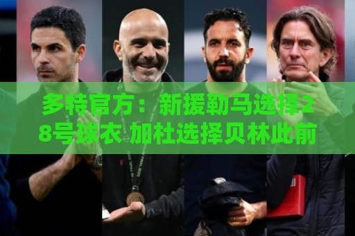 多特官方:新援勒马选择28号球衣 加杜选择贝林此前穿过的22号 多特官方:新援勒马选择28号球衣 加杜选择贝林此前穿过的22号