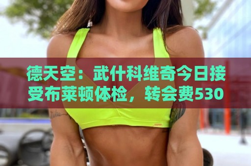 德天空:武什科维奇今日接受布莱顿体检,转会费5300万+500万欧 德天空:武什科维奇今日接受布莱顿体检,转会费5300万+500万欧