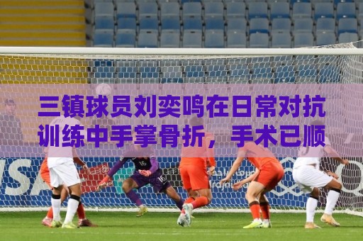 三镇球员刘奕鸣在日常对抗训练中手掌骨折,手术已顺利完成 三镇球员刘奕鸣在日常对抗训练中手掌骨折,手术已顺利完成