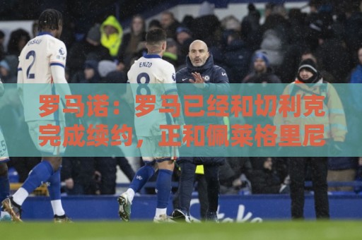 罗马诺:罗马已经和切利克完成续约,正和佩莱格里尼进行续约谈判 罗马诺:罗马已经和切利克完成续约,正和佩莱格里尼进行续约谈判