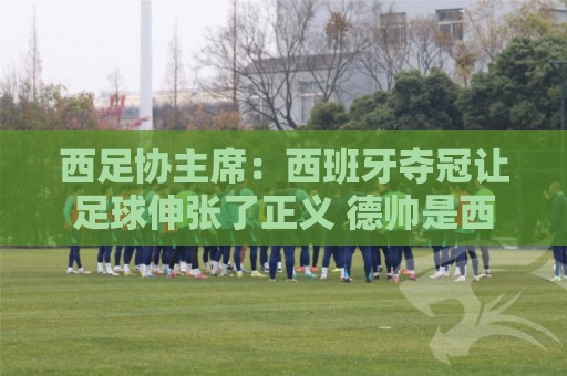 西足协主席:西班牙夺冠让足球伸张了正义 德帅是西班牙历史最佳 西足协主席:西班牙夺冠让足球伸张了正义 德帅是西班牙历史最佳