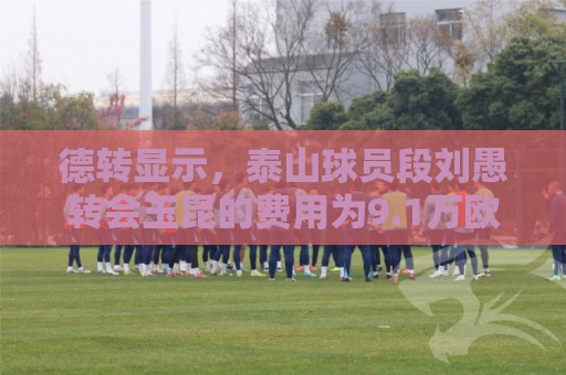 德转显示,泰山球员段刘愚转会玉昆的费用为9.1万欧 德转显示,泰山球员段刘愚转会玉昆的费用为9.1万欧