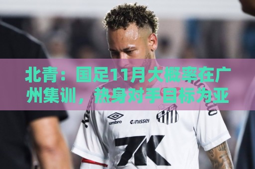 北青：国足11月大概率在广州集训，热身对手目标为亚洲杯参赛球队
