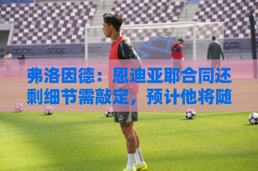 弗洛因德:恩迪亚耶合同还剩细节需敲定,预计他将随队开启新赛季 弗洛因德:恩迪亚耶合同还剩细节需敲定,预计他将随队开启新赛季