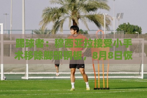 踢球者:穆西亚拉接受小手术移除脚部钢板,8月8日恢复随队训练 踢球者:穆西亚拉接受小手术移除脚部钢板,8月8日恢复随队训练