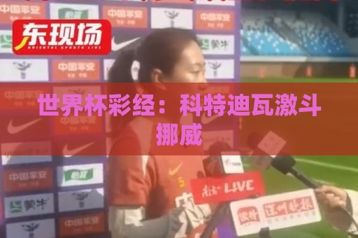 世界杯彩经:科特迪瓦激斗挪威 世界杯彩经:科特迪瓦激斗挪威