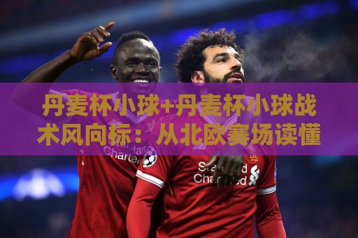 丹麦杯小球+丹麦杯小球战术风向标:从北欧赛场读懂小比分背后的攻防密码🟨最大权威网页买球站走地大全早盘文字中文解说直播 丹麦杯小球+丹麦杯小球战术风向标:从北欧赛场读懂小比分背后的攻防密码🟨最大权威网页买球站走地大全早盘文字中文解说直播