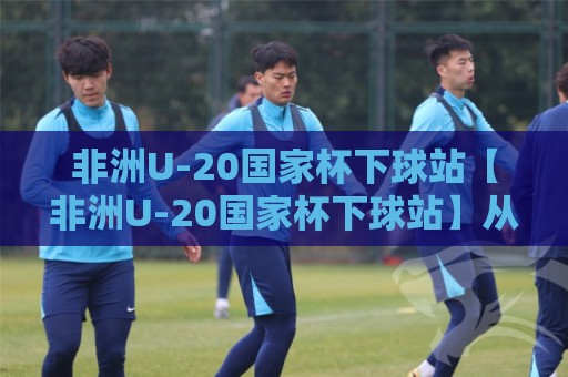 非洲U-20国家杯下球站【非洲U-20国家杯下球站】从青训沃土到数据洞察：2026年非洲青年足球的观赛新视角🟨今晚靠谱最火投球站地址两球半社区排行信号赔率