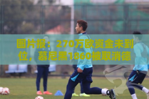 图片报:270万欧资金未到位,慕尼黑1860被取消德丙参赛资格 图片报:270万欧资金未到位,慕尼黑1860被取消德丙参赛资格